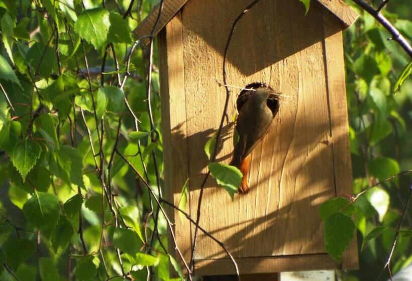 Bed and Breakfast Zakątek Warmiński