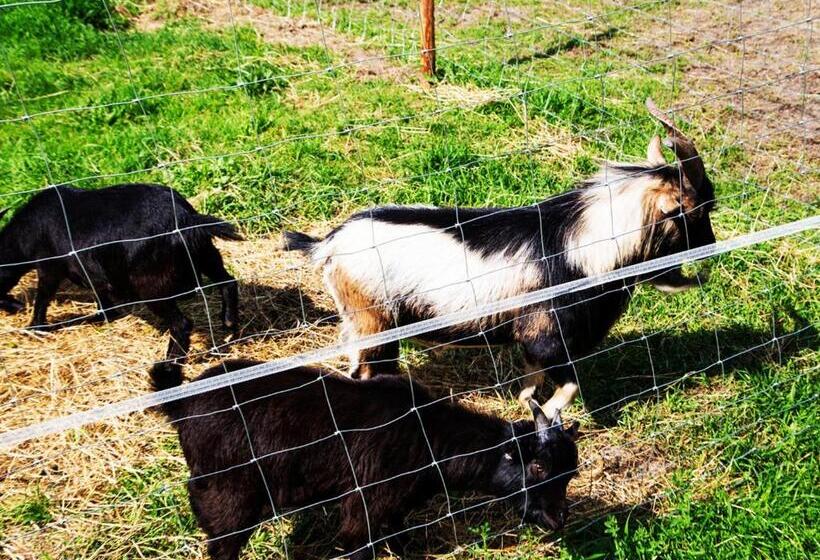 فندق Agroturystyka Olszynka