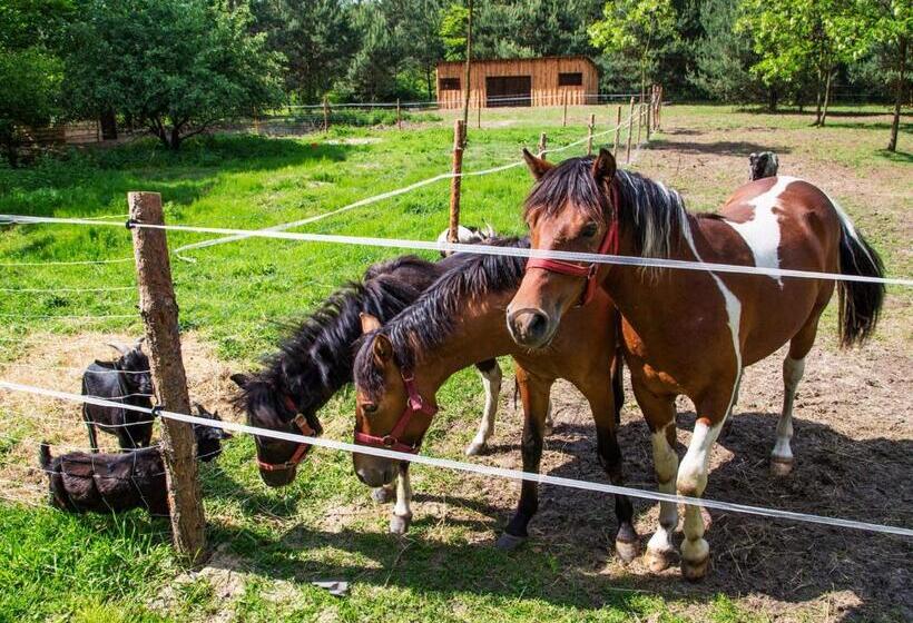 فندق Agroturystyka Olszynka