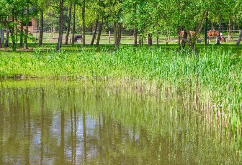 ホテル Agroturystyka Olszynka