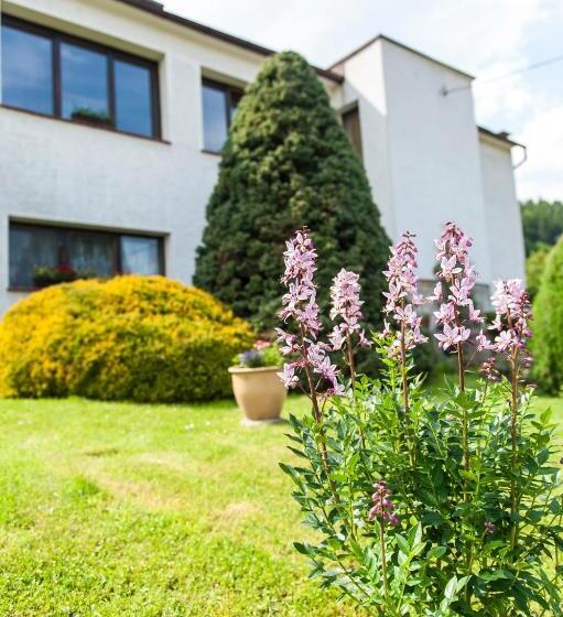 Отель Agroturystyka Wzgórze Magnolii