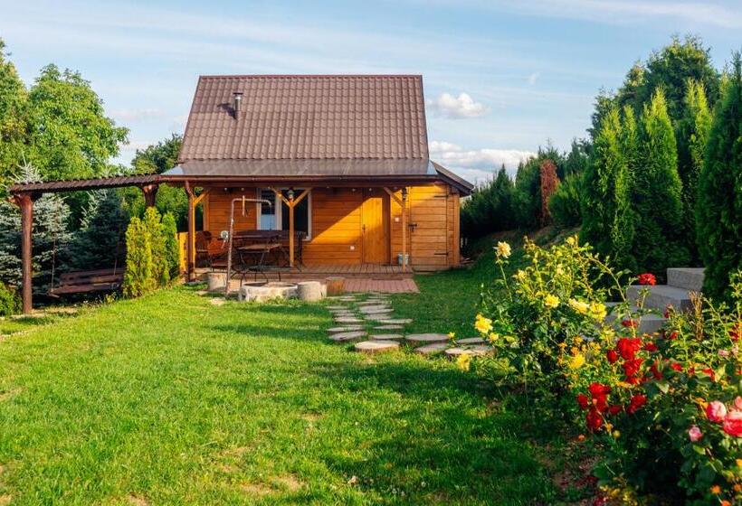 酒店 Baza Grapa Dom Pokoje Do Wynajęcia