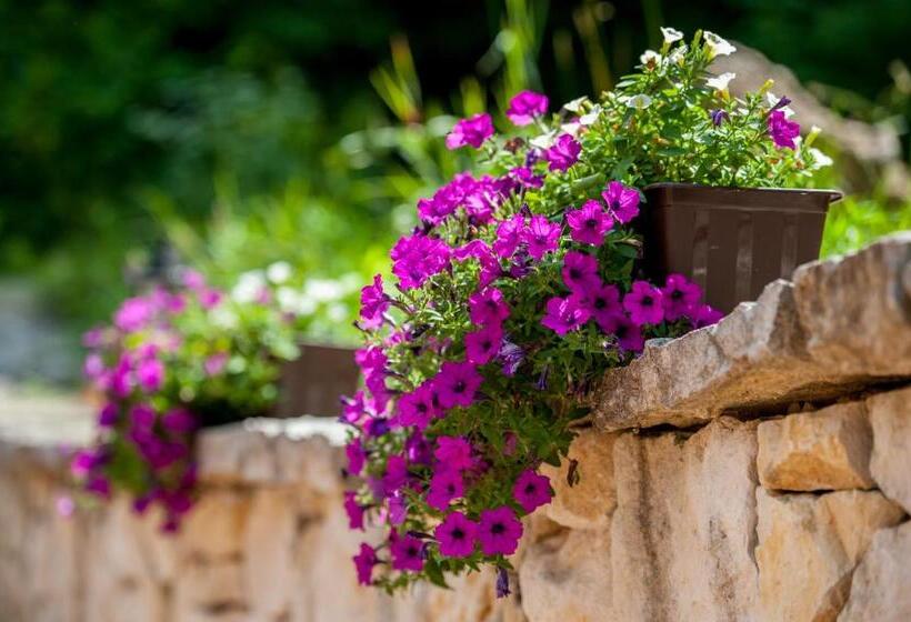 فندق Ranczo Czerwony Młyn