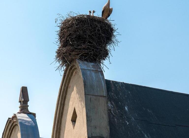 酒店 Zamek Sarny Schloss Scharfeneck