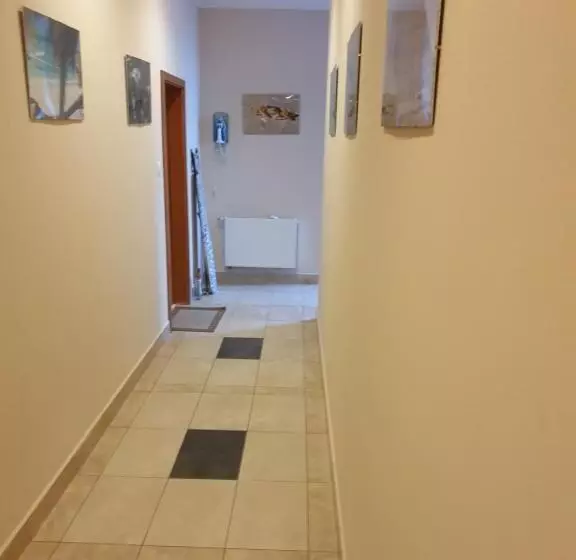 ペンション Apartamenty Donald