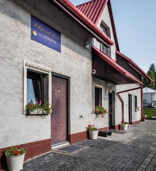 펜션 Dom Pod Różą