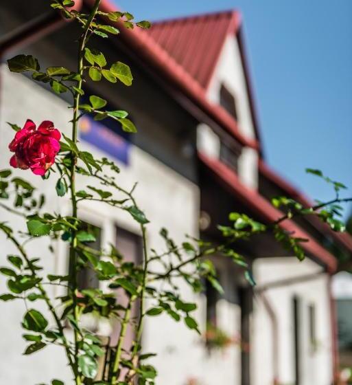 펜션 Dom Pod Różą