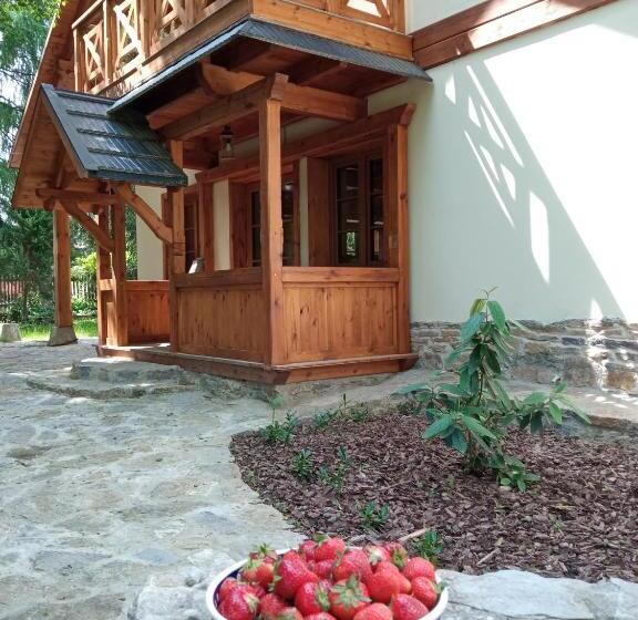 Пансион Gniazdo W Parku