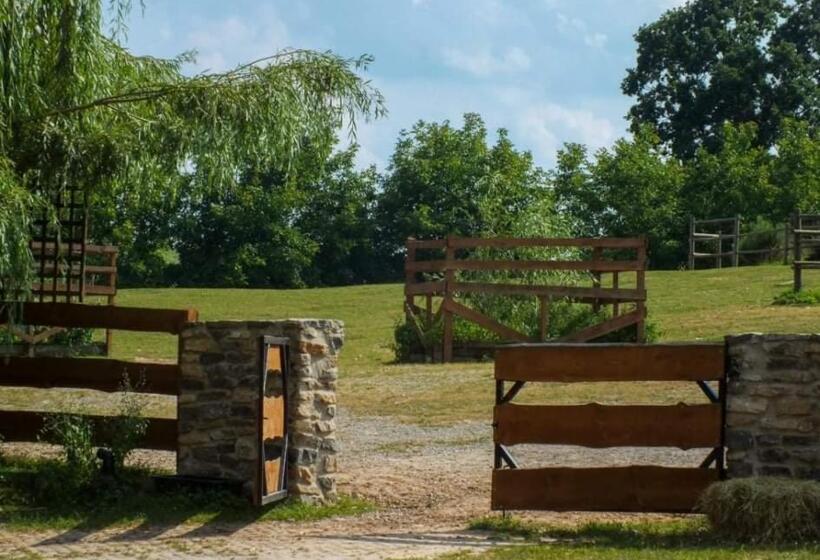 Пансион Gniazdo W Parku