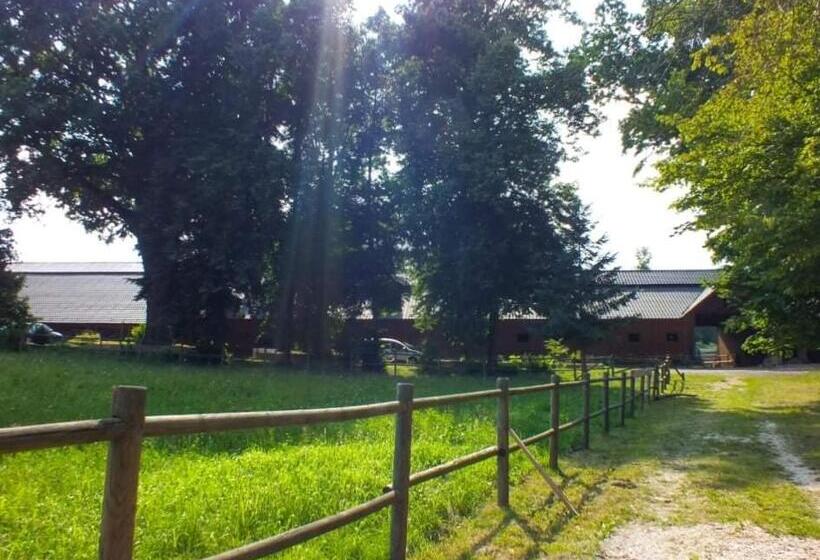 Пансион Gniazdo W Parku