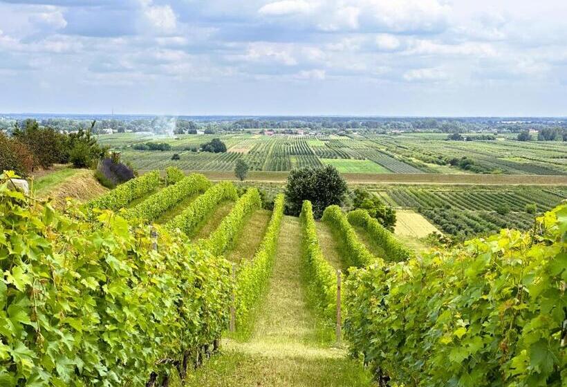 פנסיון Winnica Nad Jarem