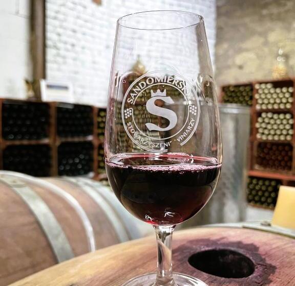 פנסיון Winnica Nad Jarem