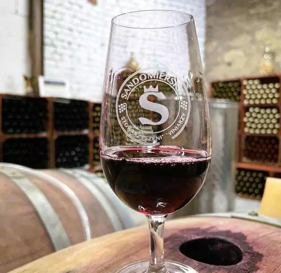 ペンション Winnica Nad Jarem