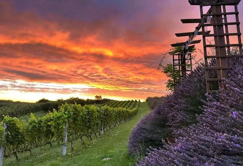 ペンション Winnica Nad Jarem