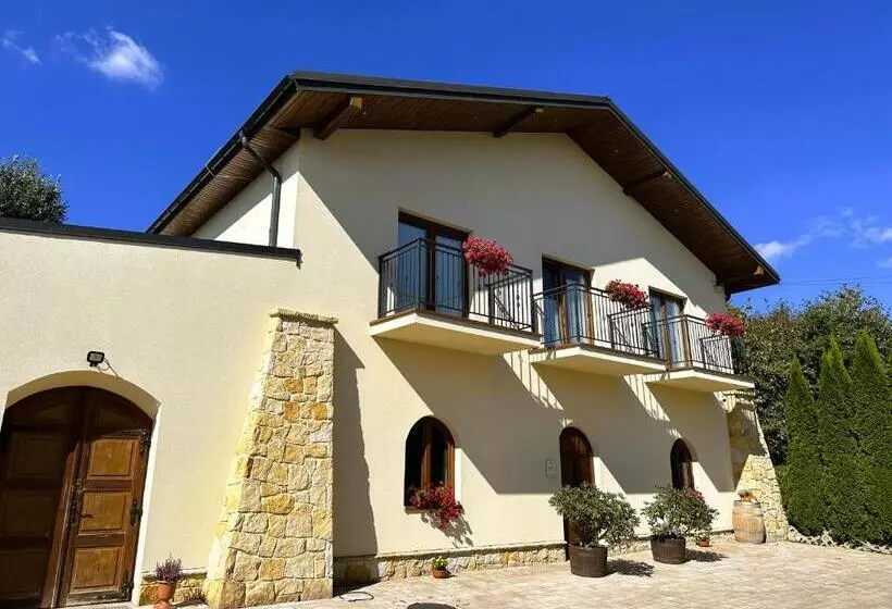 ペンション Winnica Nad Jarem