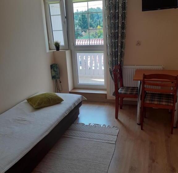 Pensjonat Stary Busko Zdrój