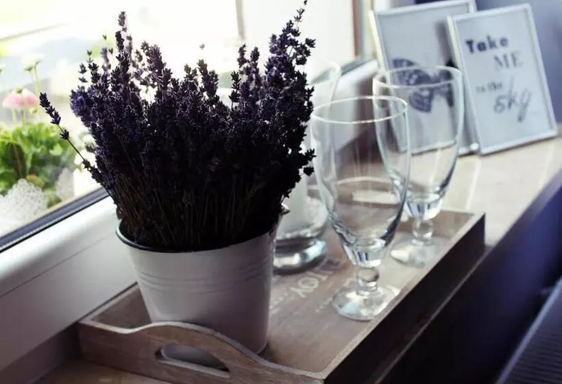 Lomakeskus Koszarka Venue & Spa