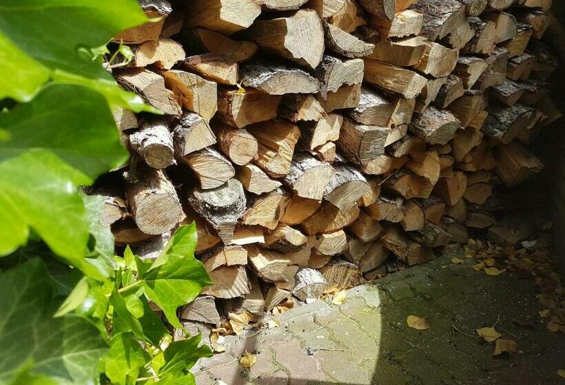 אתר נופש Ośrodek Wczasowy Marevita