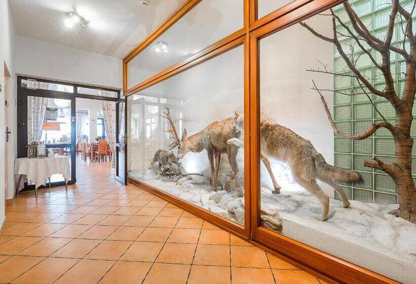 استراحتگاه Wołosań B&b