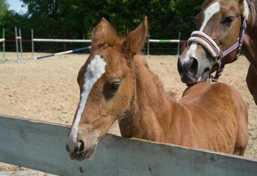 호스텔 Chata Pogaduchy