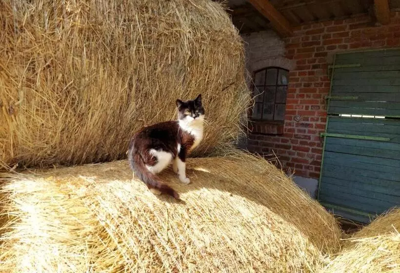 Retkeilymaja Chata Pogaduchy