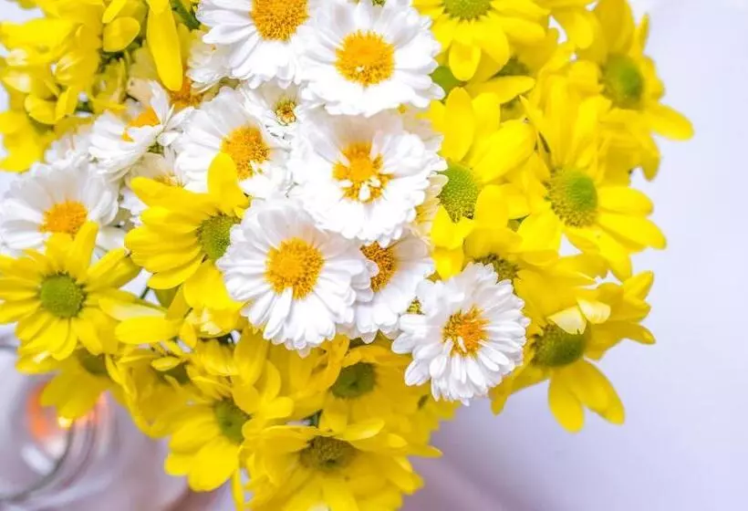 Retkeilymaja Chata Pogaduchy