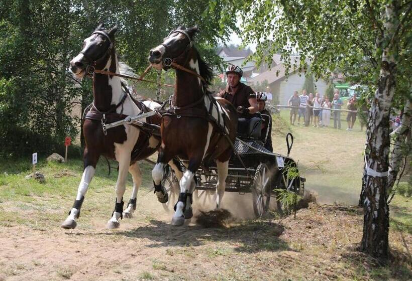 Общежитие Zajazd Magda