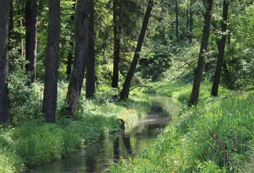Aamiaismajoitus (B&B) Oaza Mazurska   Willa Lasek