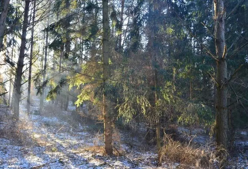 Aamiaismajoitus (B&B) Oaza Mazurska   Willa Lasek