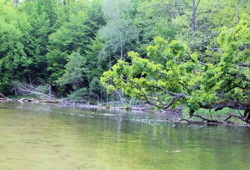 Aamiaismajoitus (B&B) Oaza Mazurska   Willa Lasek