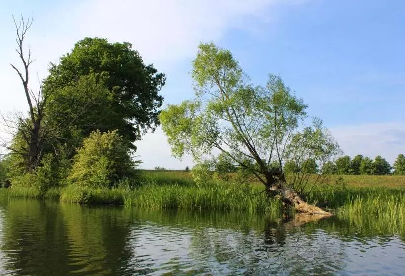 Aamiaismajoitus (B&B) Oaza Mazurska   Willa Lasek