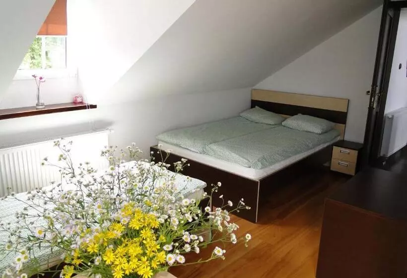 Aamiaismajoitus (B&B) Oaza Mazurska   Willa Lasek