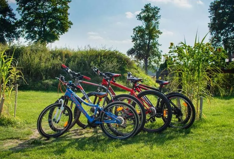 Aamiaismajoitus (B&B) Oaza Mazurska   Willa Lasek