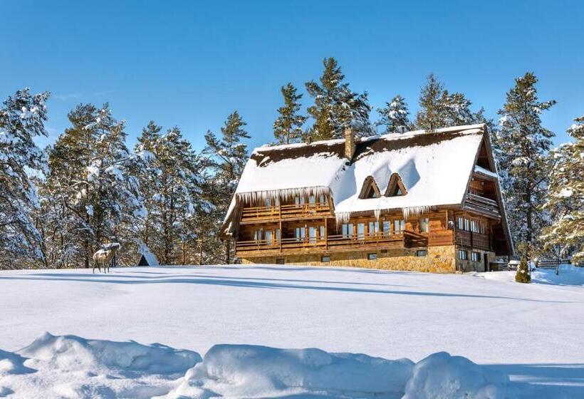 Bed and Breakfast Wille Trójca