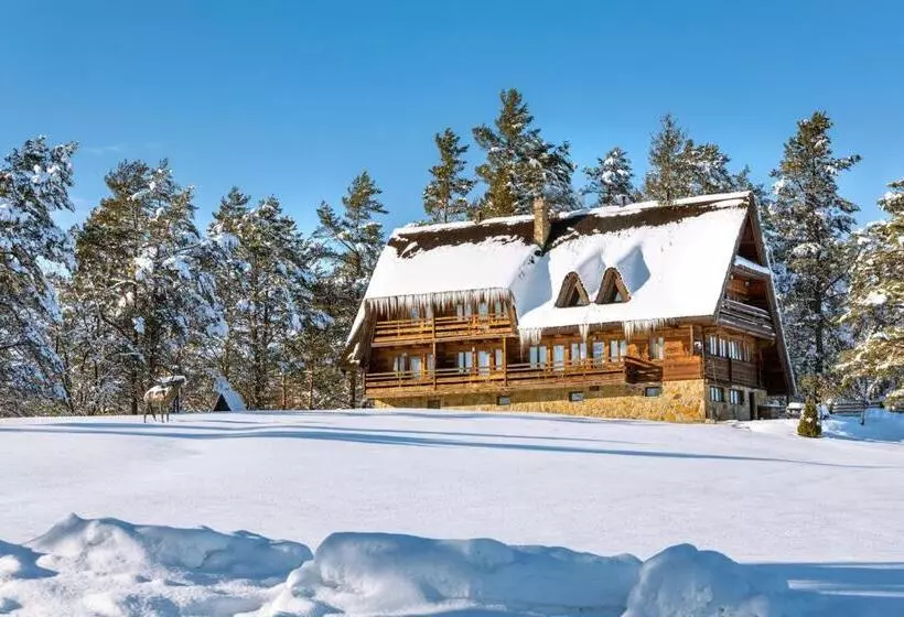 Bed & Breakfast Wille Trójca