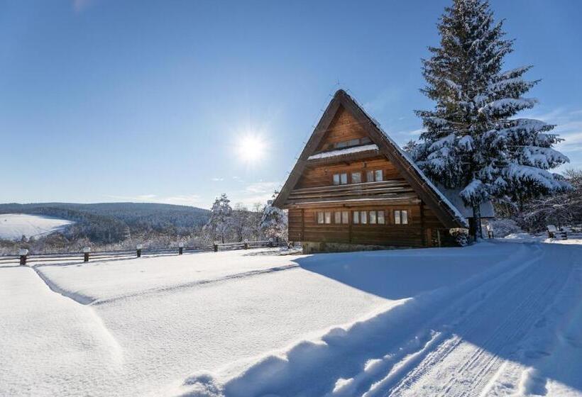 Bed and Breakfast Wille Trójca