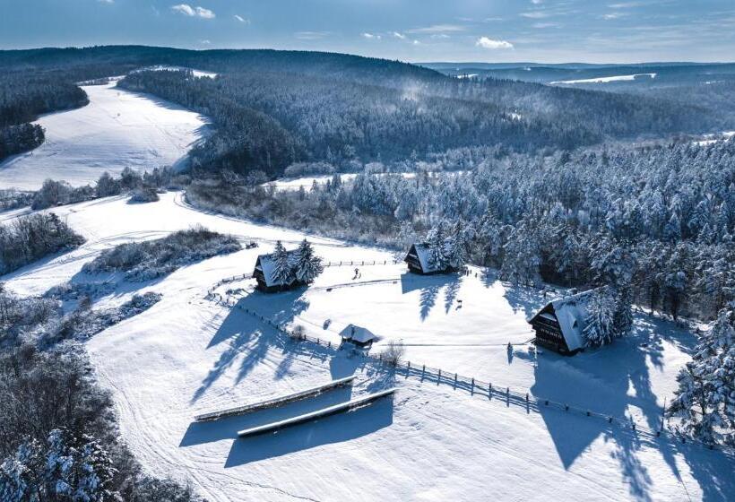 Bed and Breakfast Wille Trójca