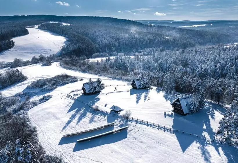 Bed & Breakfast Wille Trójca