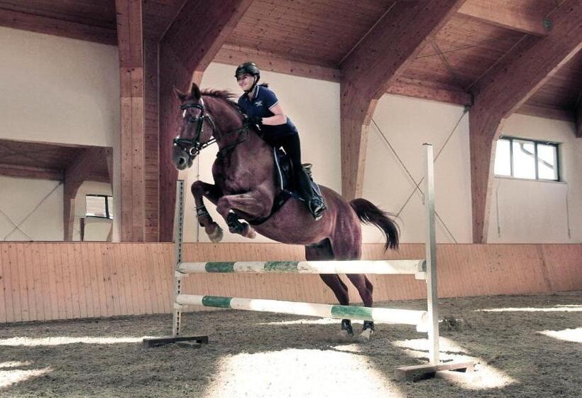 Bed and Breakfast Wille Trójca