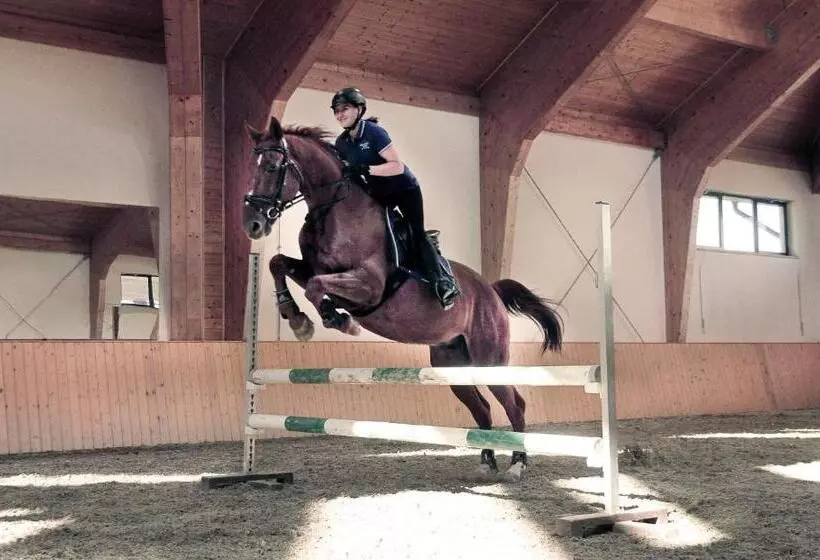 Bed & Breakfast Wille Trójca