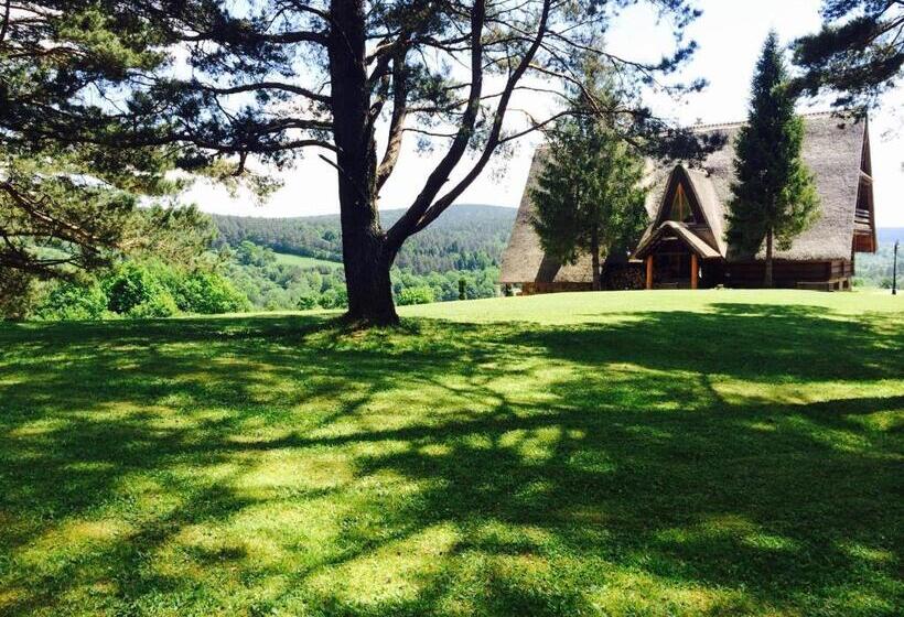 Bed and Breakfast Wille Trójca