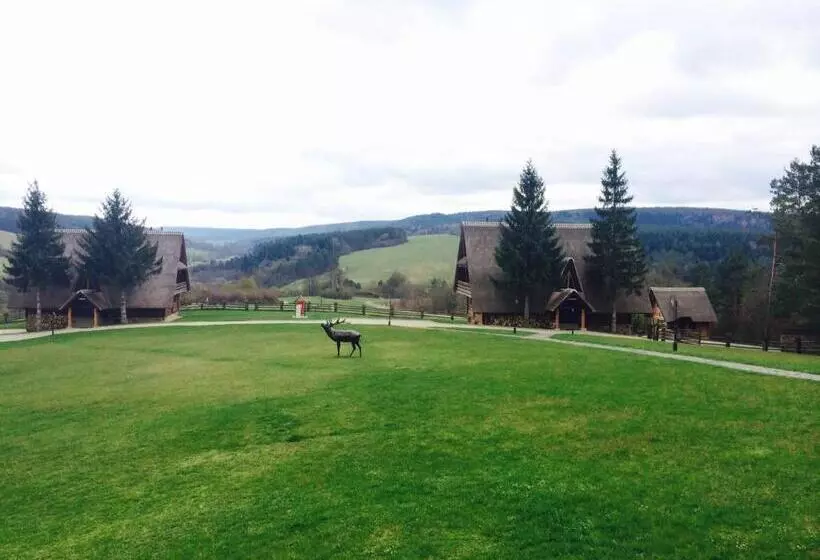 Bed & Breakfast Wille Trójca