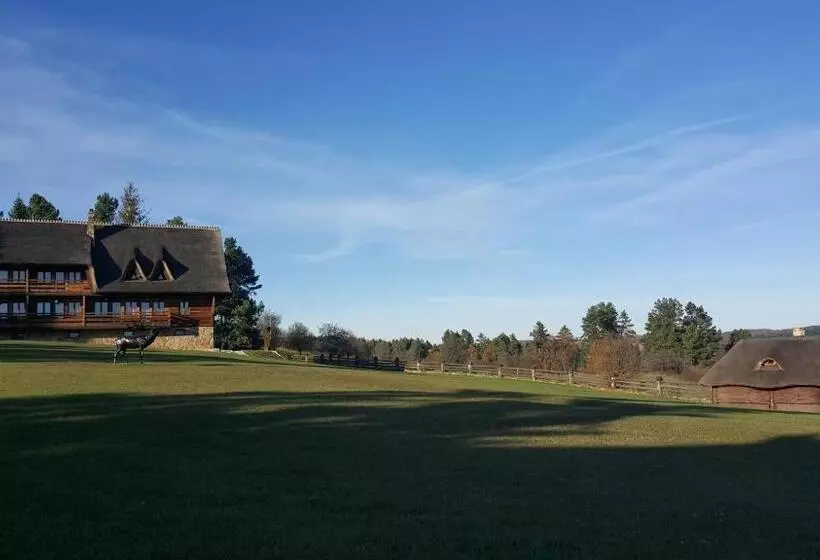 Bed & Breakfast Wille Trójca