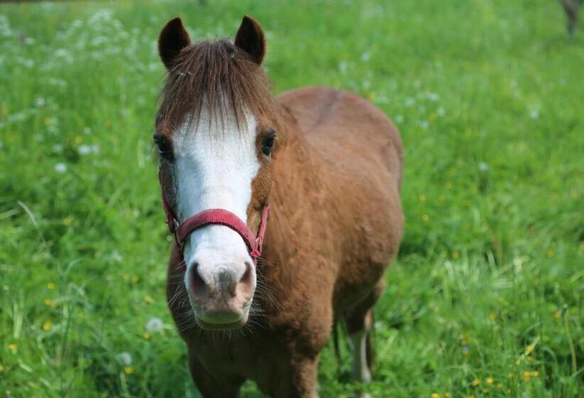 Hotel Gospodarstwo Agroturystyczne Stary Młyn Wilczkowice