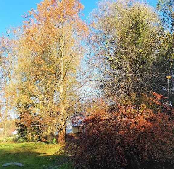 Hotel Gospodarstwo Agroturystyczne Stary Młyn Wilczkowice