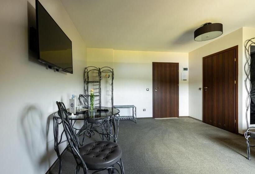 בית מלון כפרי Magnat