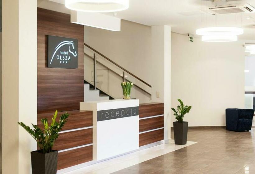 Отель Olsza