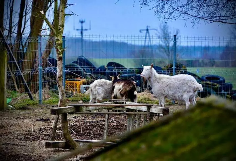 Hotelli Polonez W Rymaniu