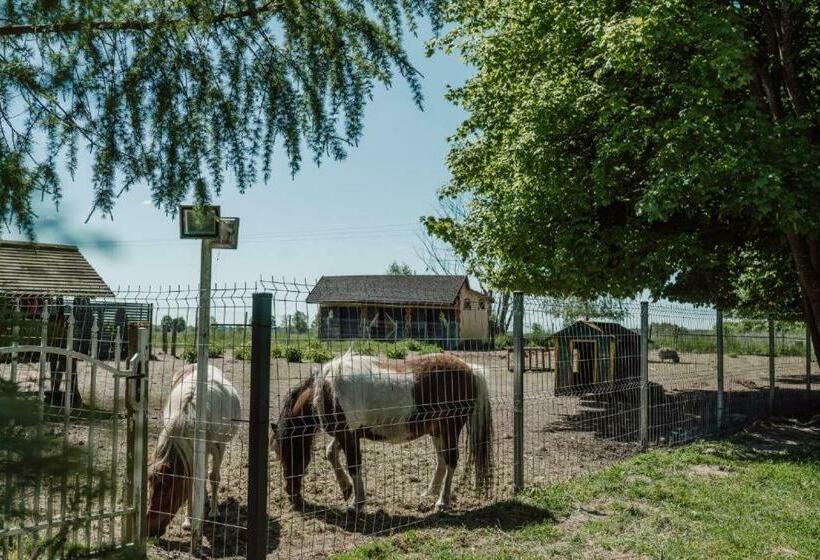 בית מלון כפרי Polonez W Rymaniu