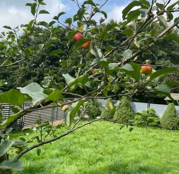 Hotelli Polonez W Rymaniu